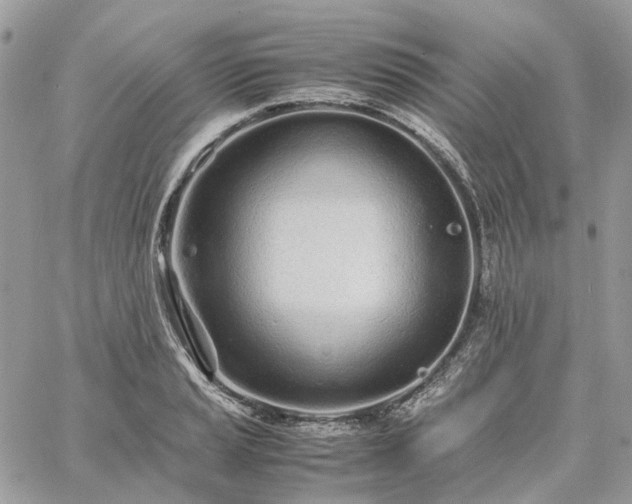 X0000060781037200511171238