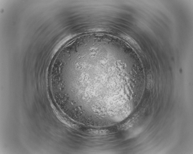 X0000060781039200511171238