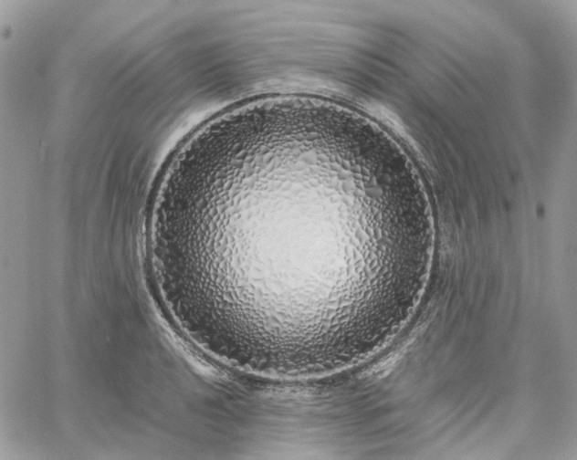 X0000060781040200511171238