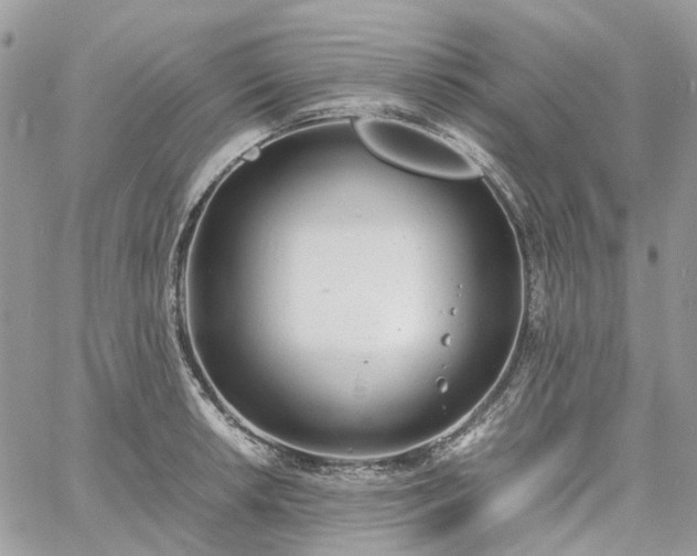 X0000060781042200511171238