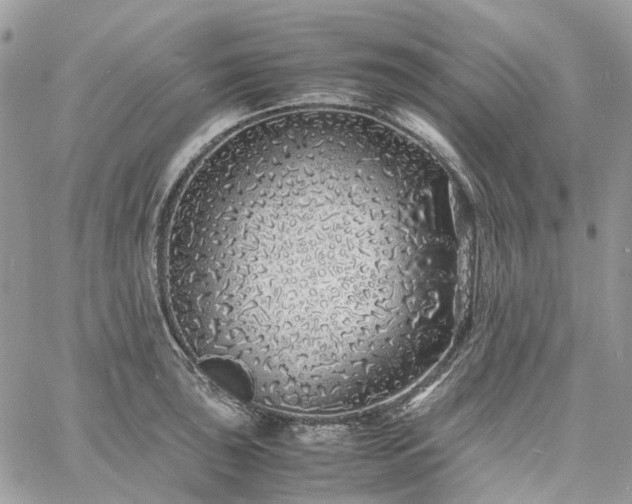 X0000060781043200511171238