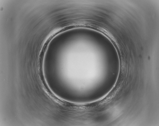 X0000060781045200511171238