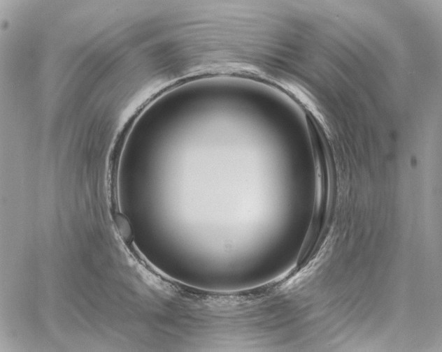 X0000060781046200511171238