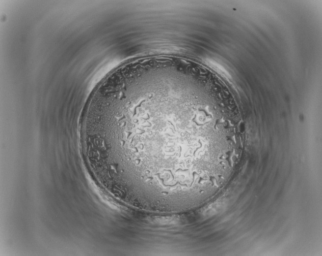 X0000060781047200511171238