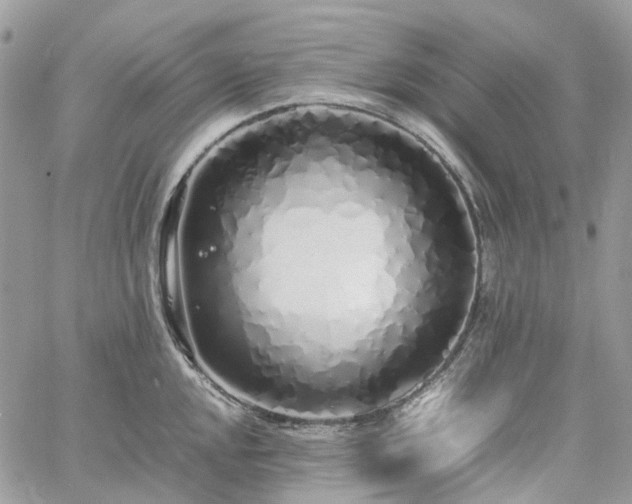 X0000060781048200511171238