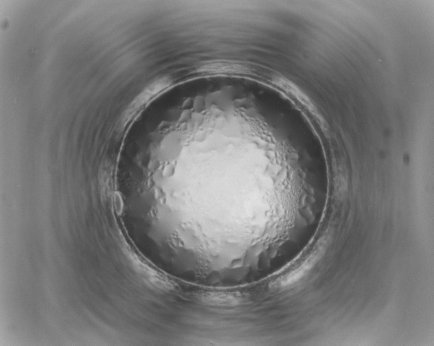 X0000060781049200511171238