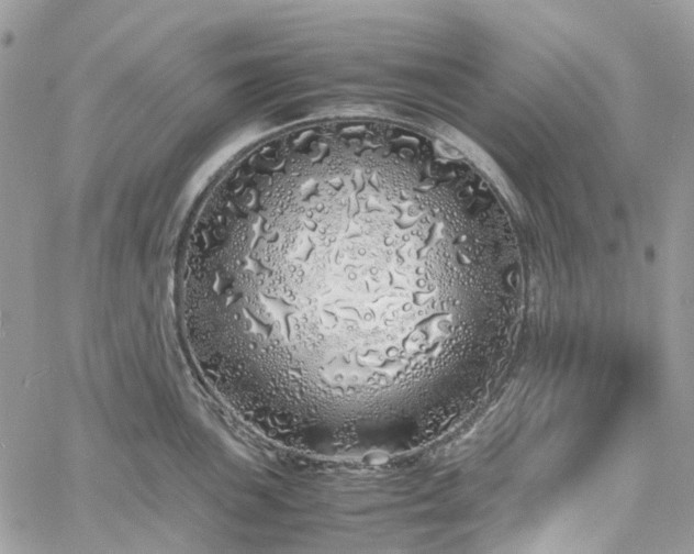 X0000060781051200511171238