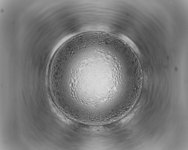 X0000060781052200511171238