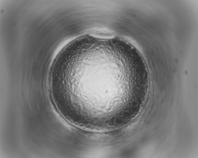 X0000060781056200511171238