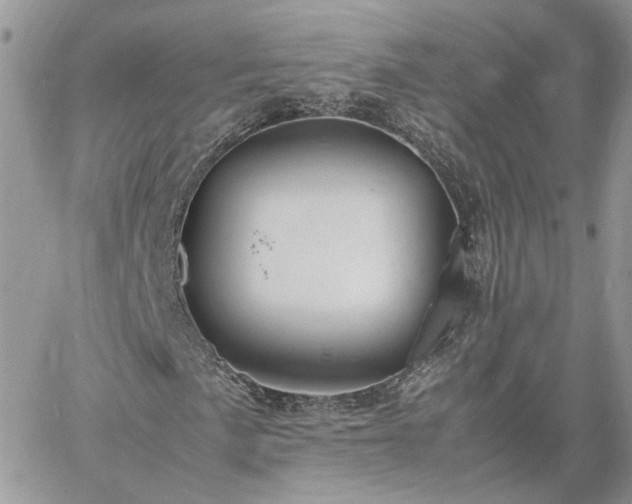 X0000060781057200511171237