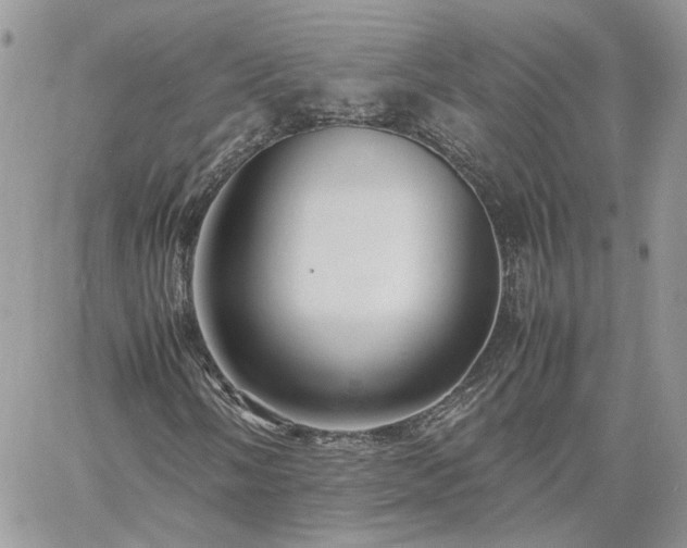 X0000060781058200511171237