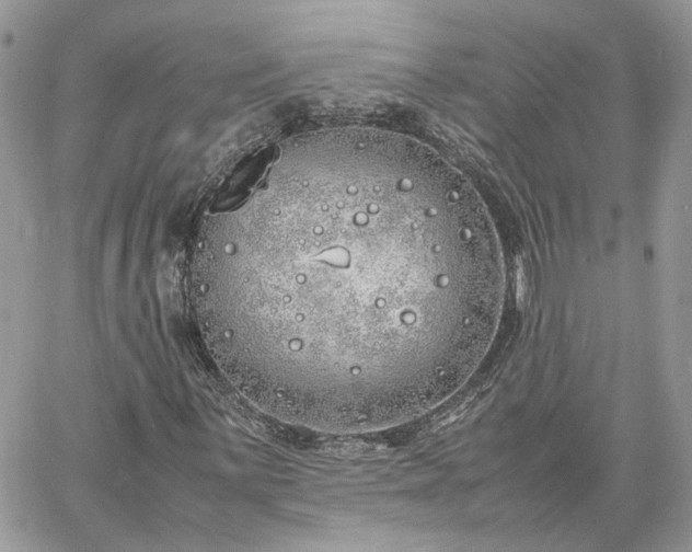 X0000060781059200511171237