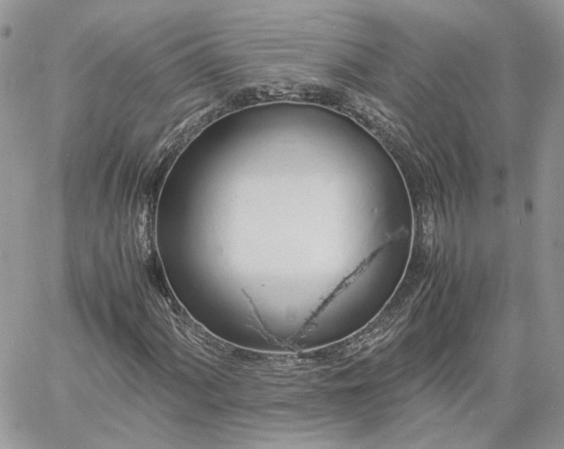 X0000060781060200511171237