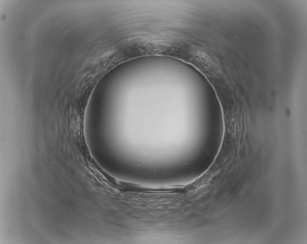 X0000060781061200511171237