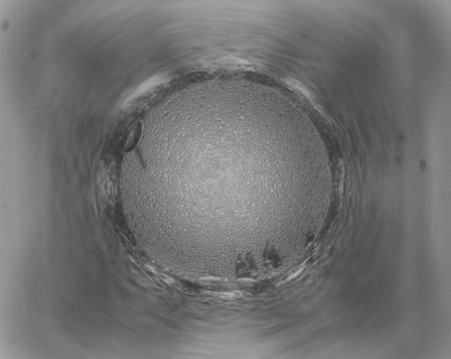 X0000060781063200511171237