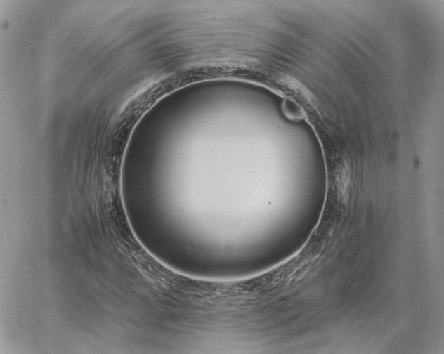 X0000060781064200511171237