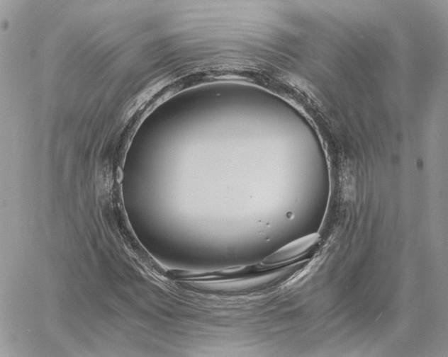 X0000060781065200511171237