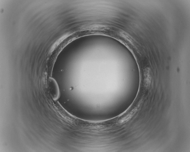 X0000060781066200511171237