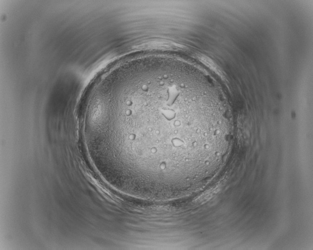 X0000060781067200511171237