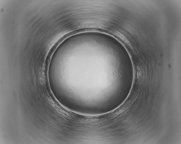 X0000060781068200511171237