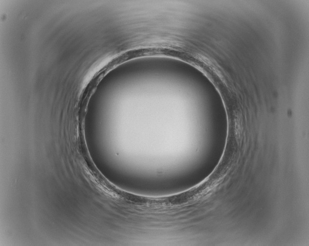 X0000060781069200511171237