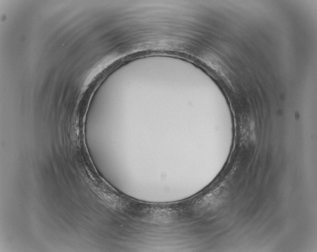 X0000060781070200511171237