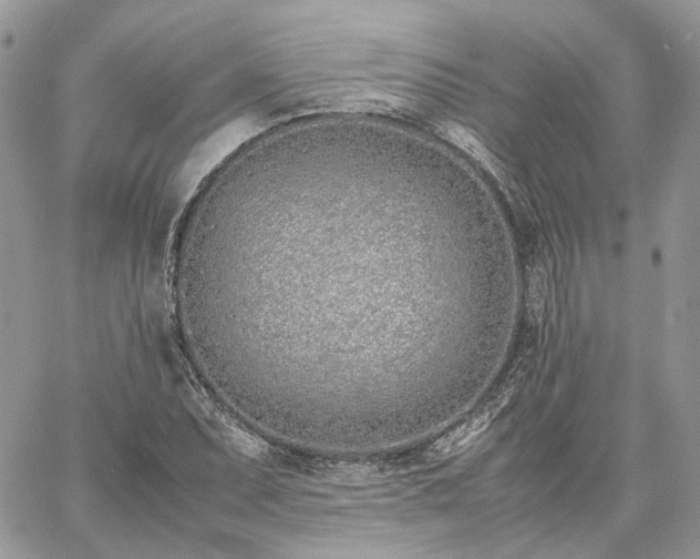 X0000060781071200511171237