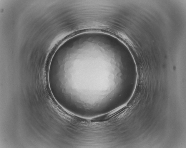 X0000060781072200511171237