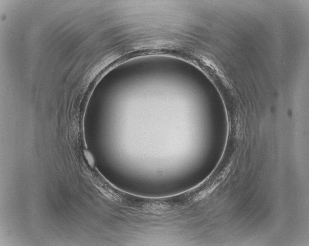 X0000060781073200511171237