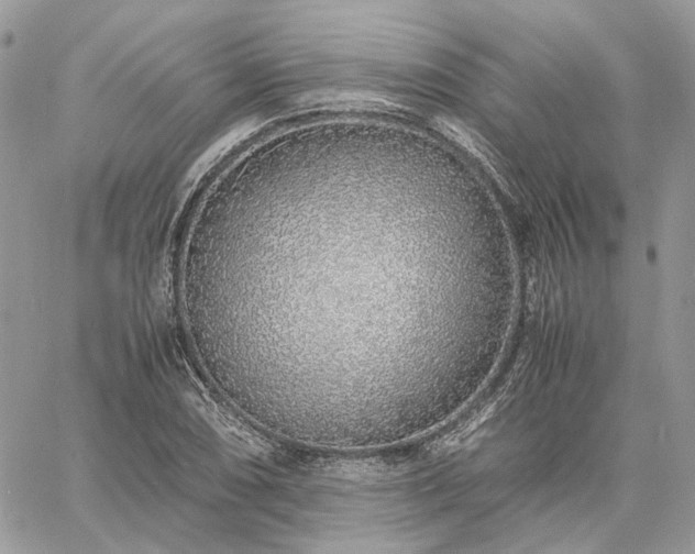 X0000060781074200511171237