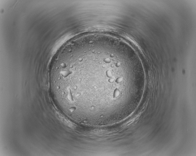 X0000060781075200511171237