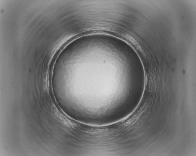 X0000060781076200511171237