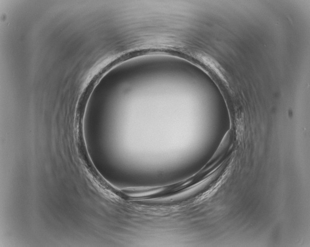 X0000060781077200511171237