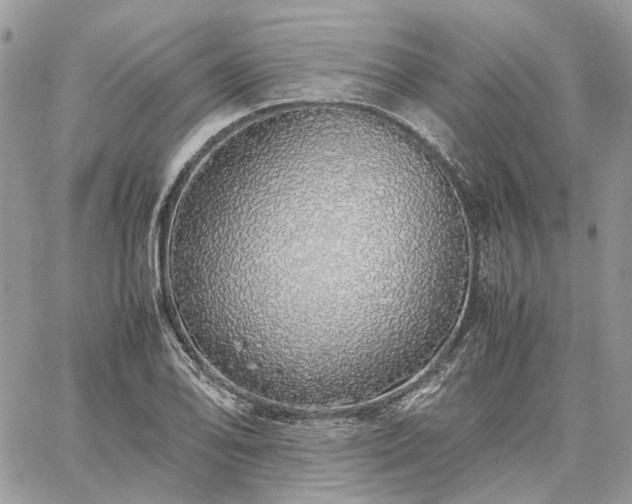 X0000060781078200511171237