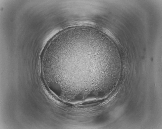 X0000060781079200511171237