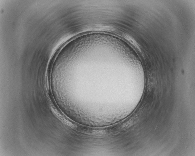 X0000060781080200511171237