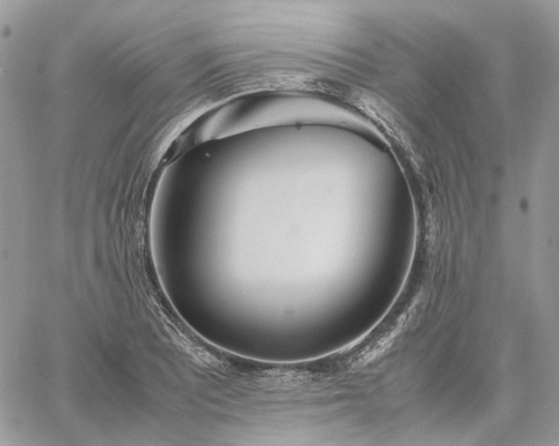 X0000060781081200511171237