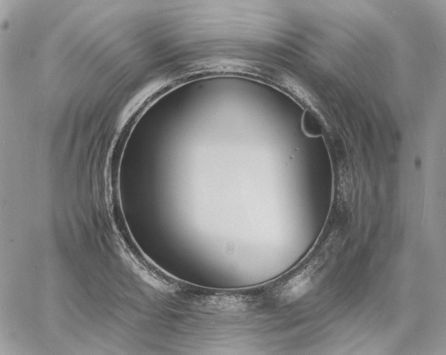 X0000060781082200511171237