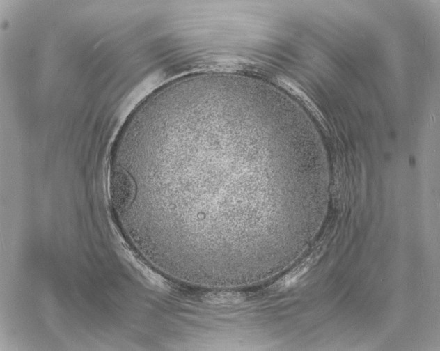 X0000060781083200511171237