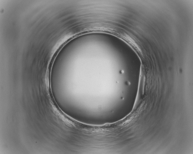 X0000060781084200511171237