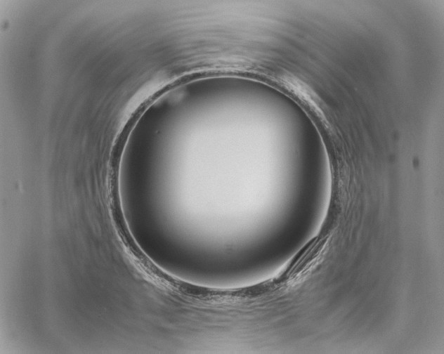 X0000060781085200511171237