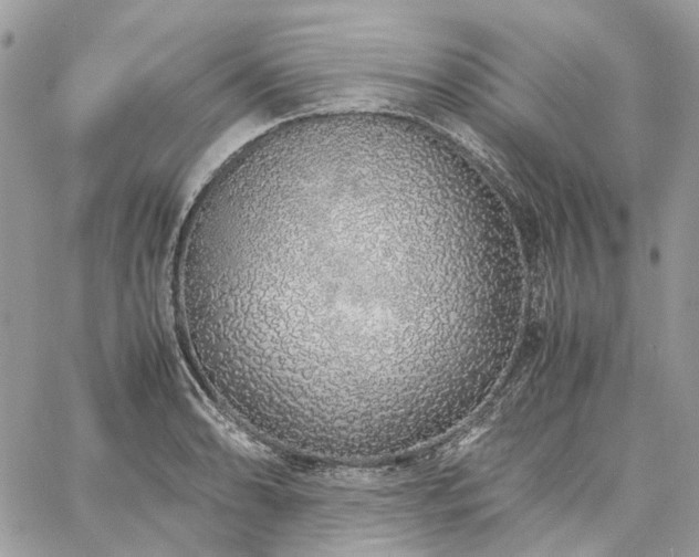 X0000060781086200511171237