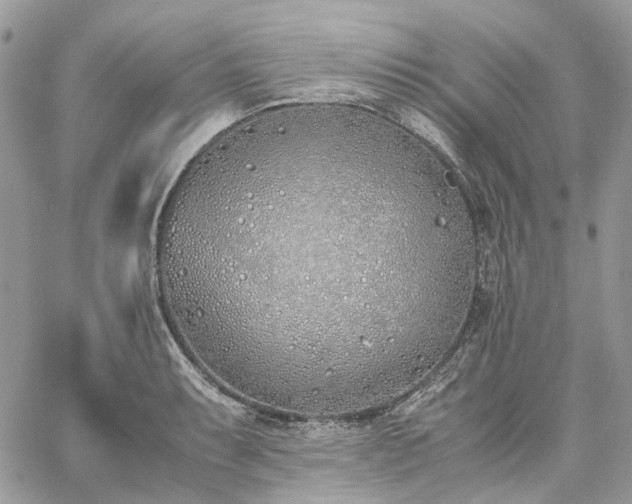 X0000060781087200511171237