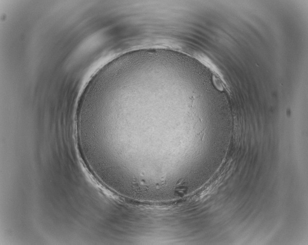 X0000060781088200511171237