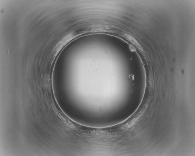 X0000060781089200511171237