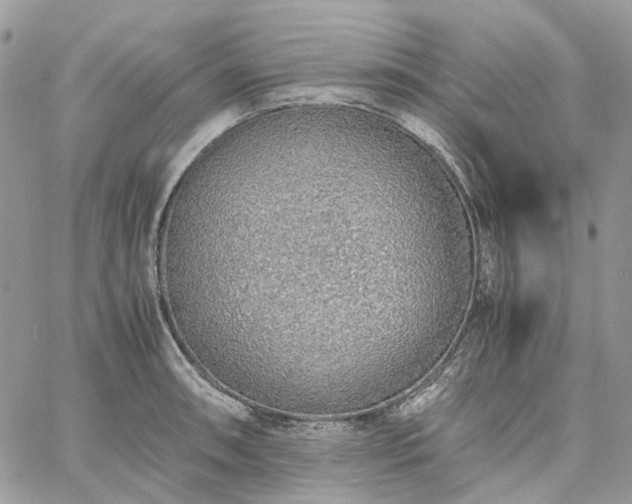 X0000060781090200511171237