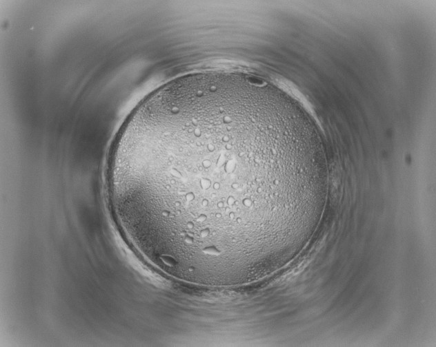 X0000060781091200511171237