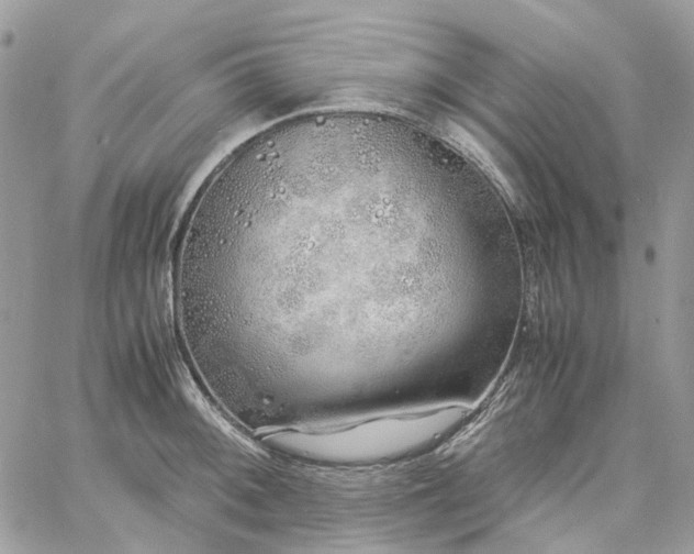 X0000060781092200511171237