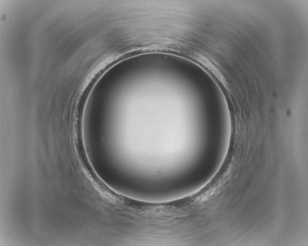 X0000060781093200511171237