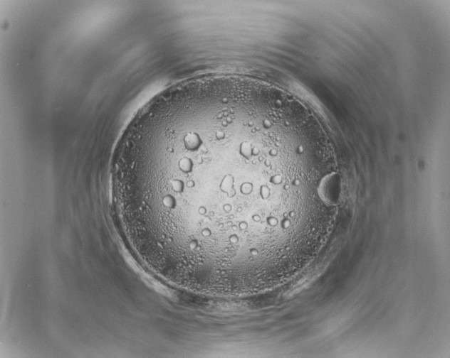 X0000060781095200511171237